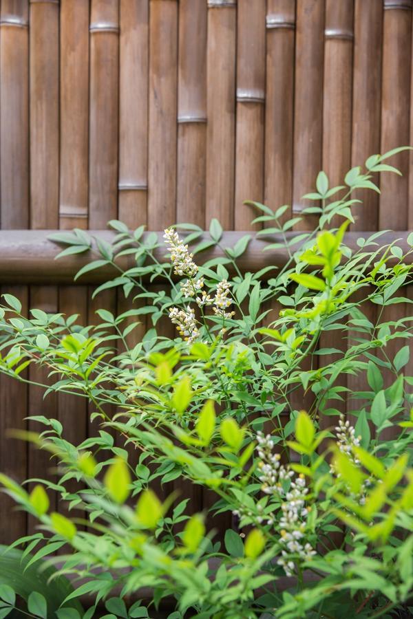 Kyoto Stay Temari 外观 照片
